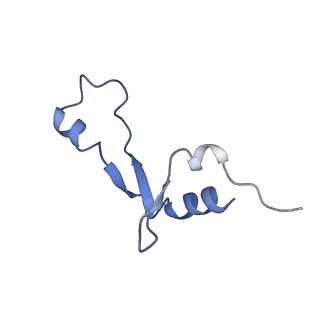 24792_7s0s_f_v1-2
M. tuberculosis ribosomal RNA methyltransferase TlyA bound to M. smegmatis 50S ribosomal subunit