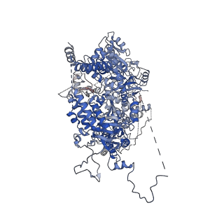 24793_7s0t_A_v1-0
Structure of DNA polymerase zeta with mismatched DNA