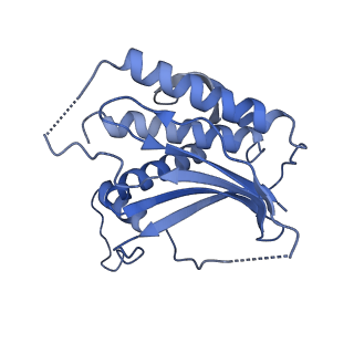 24793_7s0t_E_v1-0
Structure of DNA polymerase zeta with mismatched DNA
