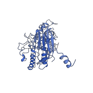 24793_7s0t_F_v1-0
Structure of DNA polymerase zeta with mismatched DNA