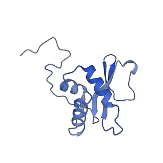 24793_7s0t_G_v1-0
Structure of DNA polymerase zeta with mismatched DNA