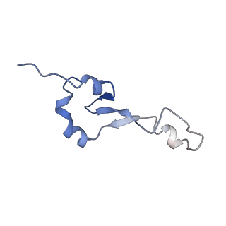 10078_6s12_3_v1-0
Erythromycin Resistant Staphylococcus aureus 50S ribosome (delta R88 A89 uL22).