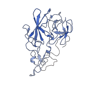 10078_6s12_C_v1-0
Erythromycin Resistant Staphylococcus aureus 50S ribosome (delta R88 A89 uL22).