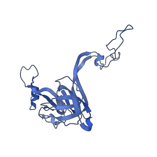 10078_6s12_D_v1-0
Erythromycin Resistant Staphylococcus aureus 50S ribosome (delta R88 A89 uL22).