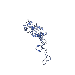 10078_6s12_E_v1-0
Erythromycin Resistant Staphylococcus aureus 50S ribosome (delta R88 A89 uL22).