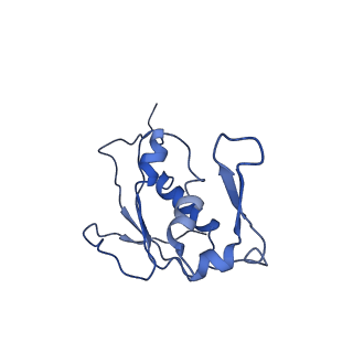 10078_6s12_H_v1-0
Erythromycin Resistant Staphylococcus aureus 50S ribosome (delta R88 A89 uL22).