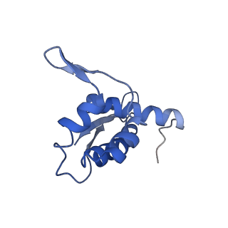 10078_6s12_L_v1-0
Erythromycin Resistant Staphylococcus aureus 50S ribosome (delta R88 A89 uL22).