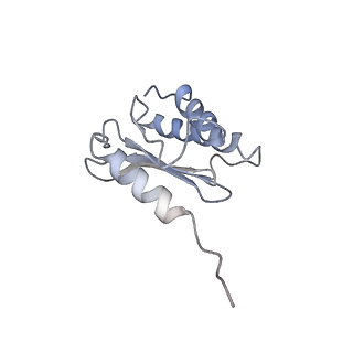 10078_6s12_M_v1-0
Erythromycin Resistant Staphylococcus aureus 50S ribosome (delta R88 A89 uL22).