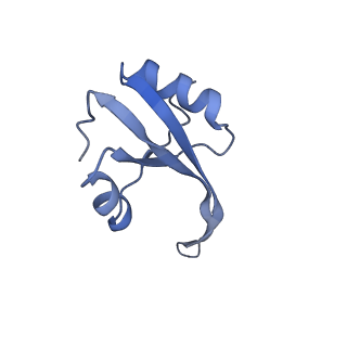 10078_6s12_R_v1-0
Erythromycin Resistant Staphylococcus aureus 50S ribosome (delta R88 A89 uL22).