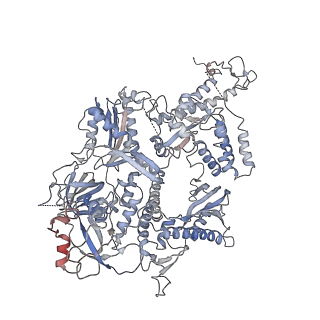 10080_6s1m_A_v1-1
Human polymerase delta holoenzyme Conformer 1