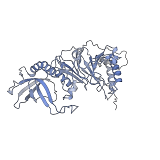 10080_6s1m_B_v1-1
Human polymerase delta holoenzyme Conformer 1