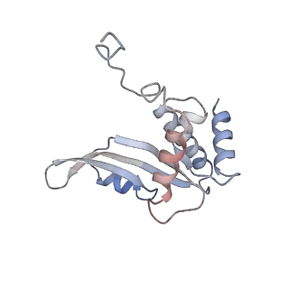 10080_6s1m_C_v1-1
Human polymerase delta holoenzyme Conformer 1