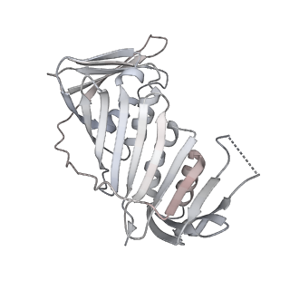 10080_6s1m_E_v1-1
Human polymerase delta holoenzyme Conformer 1
