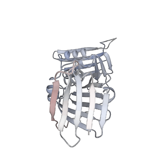 10080_6s1m_G_v1-1
Human polymerase delta holoenzyme Conformer 1