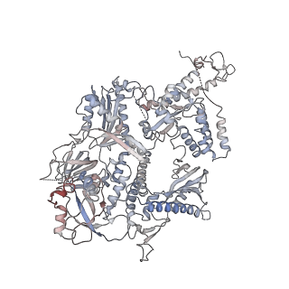 10081_6s1n_A_v1-1
Human polymerase delta holoenzyme Conformer 2