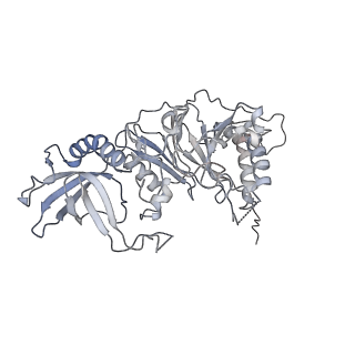 10081_6s1n_B_v1-1
Human polymerase delta holoenzyme Conformer 2