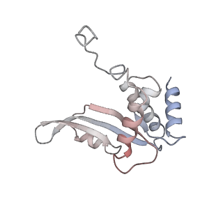 10081_6s1n_C_v1-1
Human polymerase delta holoenzyme Conformer 2