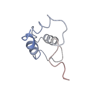 10081_6s1n_D_v1-1
Human polymerase delta holoenzyme Conformer 2