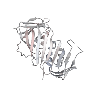 10081_6s1n_E_v1-1
Human polymerase delta holoenzyme Conformer 2