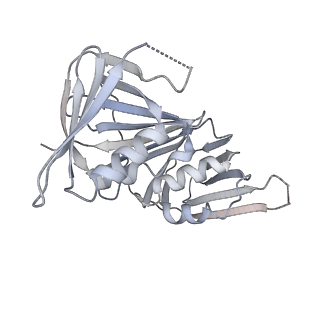 10081_6s1n_F_v1-1
Human polymerase delta holoenzyme Conformer 2