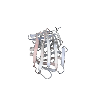 10081_6s1n_G_v1-1
Human polymerase delta holoenzyme Conformer 2