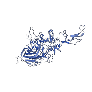 24806_7s1w_B_v1-3
The AAVrh.10-glycan complex