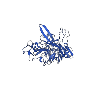 24806_7s1w_F_v1-3
The AAVrh.10-glycan complex