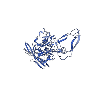 24806_7s1w_W_v1-3
The AAVrh.10-glycan complex