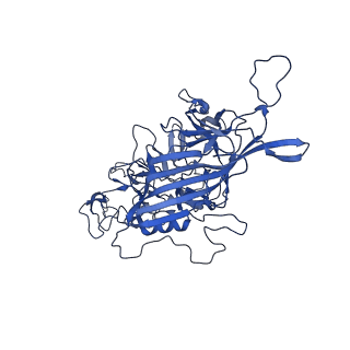 24806_7s1w_b_v1-3
The AAVrh.10-glycan complex