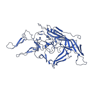 24806_7s1w_k_v1-3
The AAVrh.10-glycan complex