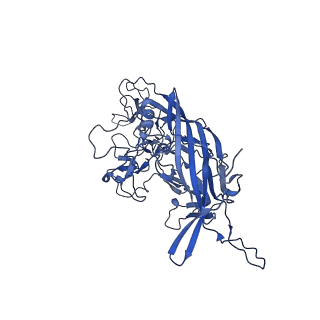 24806_7s1w_n_v1-3
The AAVrh.10-glycan complex
