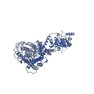 24807_7s1x_A_v1-0
Cryo-EM structure of human NKCC1 K289NA492EL671C bound with bumetanide