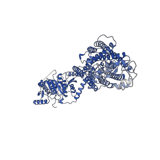 24807_7s1x_B_v1-0
Cryo-EM structure of human NKCC1 K289NA492EL671C bound with bumetanide