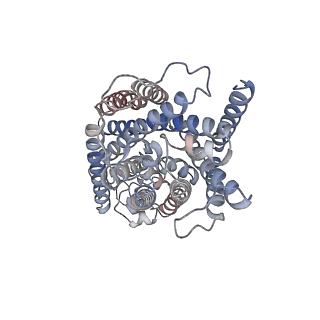 24812_7s1y_A_v1-0
Cryo-EM structure of human NKCC1 K289NA492E bound with bumetanide