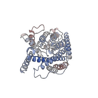 24812_7s1y_B_v1-0
Cryo-EM structure of human NKCC1 K289NA492E bound with bumetanide