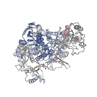 10088_6s2e_A_v1-0
Cryo-EM structure of Ctf18-1-8 in complex with the catalytic domain of DNA polymerase epsilon