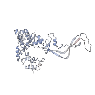 10088_6s2e_B_v1-0
Cryo-EM structure of Ctf18-1-8 in complex with the catalytic domain of DNA polymerase epsilon