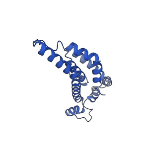 10093_6s3l_D_v1-0
Structure of the core of the flagellar export apparatus from Vibrio mimicus, the FliPQR-FlhB complex.