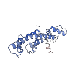 10095_6s3r_B_v1-0
Structure of the FliPQR complex from the flagellar type 3 secretion system of Pseudomonas savastanoi.