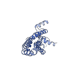 10095_6s3r_C_v1-0
Structure of the FliPQR complex from the flagellar type 3 secretion system of Pseudomonas savastanoi.
