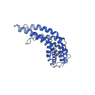 10095_6s3r_F_v1-0
Structure of the FliPQR complex from the flagellar type 3 secretion system of Pseudomonas savastanoi.