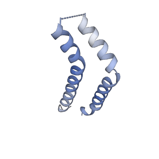 10095_6s3r_K_v1-0
Structure of the FliPQR complex from the flagellar type 3 secretion system of Pseudomonas savastanoi.