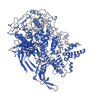 24819_7s38_P_v1-1
Cas9:sgRNA:DNA (S. pyogenes) forming a 3-base-pair R-loop