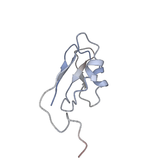 24821_7s3d_N_v1-2
Structure of photosystem I with bound ferredoxin from Synechococcus sp. PCC 7335 acclimated to far-red light