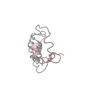 24821_7s3d_f_v1-2
Structure of photosystem I with bound ferredoxin from Synechococcus sp. PCC 7335 acclimated to far-red light