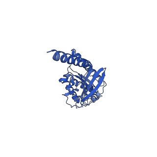 24825_7s3i_A_v1-1
Ex4-D-Ala bound to the glucagon-like peptide-1 receptor/g protein complex (conformer 2)