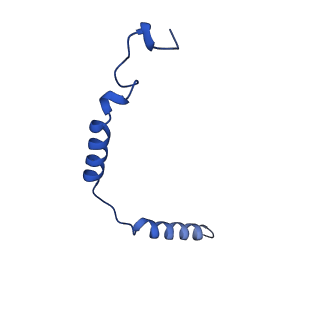 24825_7s3i_G_v1-1
Ex4-D-Ala bound to the glucagon-like peptide-1 receptor/g protein complex (conformer 2)