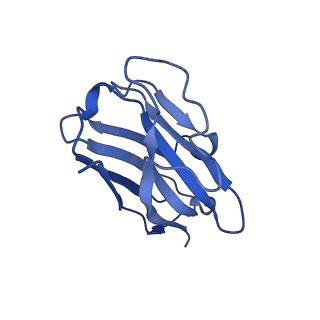 24825_7s3i_N_v1-1
Ex4-D-Ala bound to the glucagon-like peptide-1 receptor/g protein complex (conformer 2)