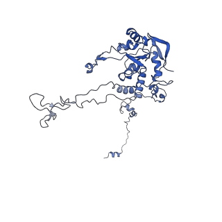 10098_6s47_AF_v1-1
Saccharomyces cerevisiae 80S ribosome bound with ABCF protein New1