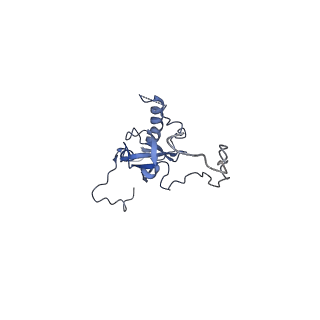 10098_6s47_AH_v1-1
Saccharomyces cerevisiae 80S ribosome bound with ABCF protein New1